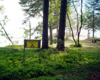 Вид с севера поселения Черная речка VIII и щит с надписью ''Место остановки туристов''