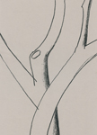 Рисунки Давида Боровского. Дерево