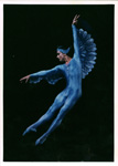 Малахов В.А. в роли Голубой птицы. Балет Спящая красавица, 1990-е