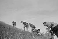 Михаил Трахман. Ленинградские партизаны. 1942 © Михаил Трахман