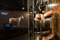 Музей лошади на ВДНХ