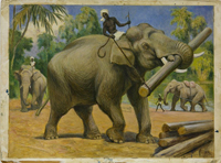 Ватагин В.А. Рабочие слоны. 1953. Бумага на картоне, масло