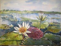 Martha Campillo. Flores del pantano