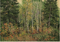 Е.Ю.Бутенков.Осинки в еловом лесу. 2010.