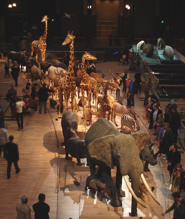 Национальный музей естественной истории Франции