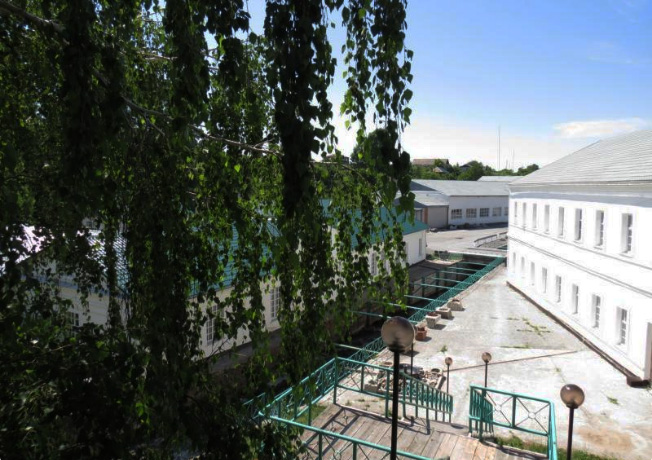 Общий вид Колыванского камнерезного завода, на территории которого расположен музей