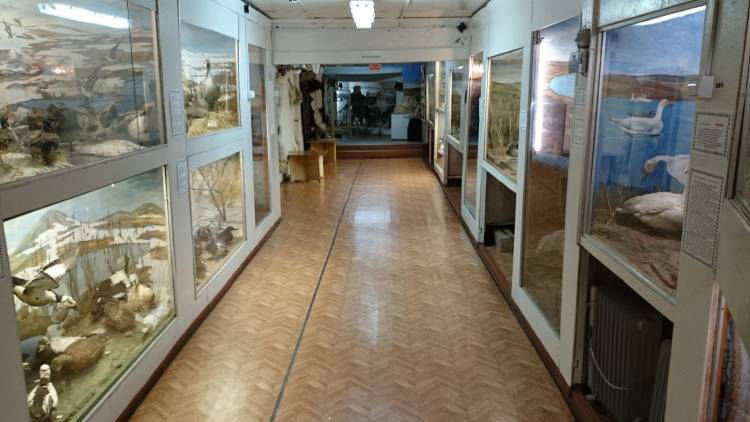 Аллаиховский музей природы тундры и охотничьего промысла имени Д.А. Лебедева
