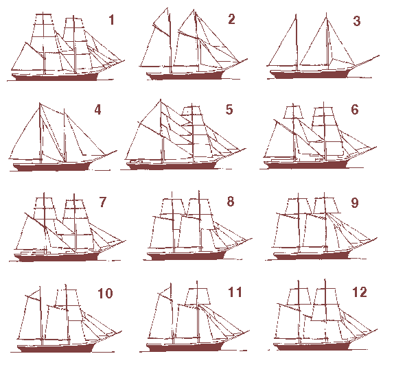 ������������ ����